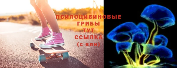 ГАЛЛЮЦИНОГЕННЫЕ ГРИБЫ Верея