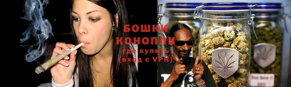 тгк Бородино