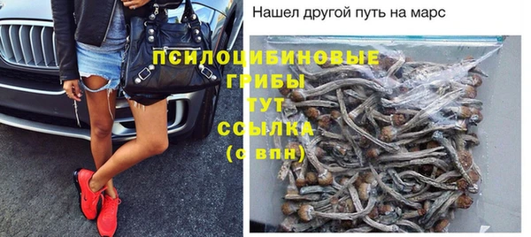 тгк Бородино