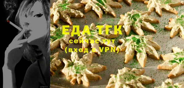 тгк Бородино